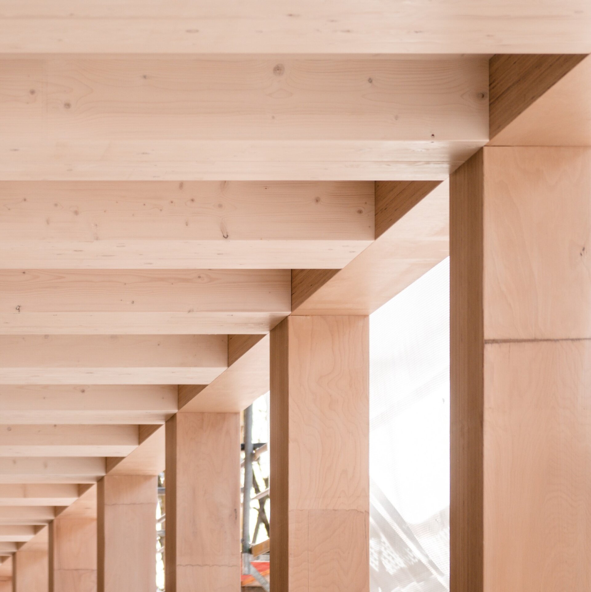 Die Decke eines modernen Holzgebäudes mit klaren Linien und hellen Holzoberflächen, die eine warme Atmosphäre schaffen.