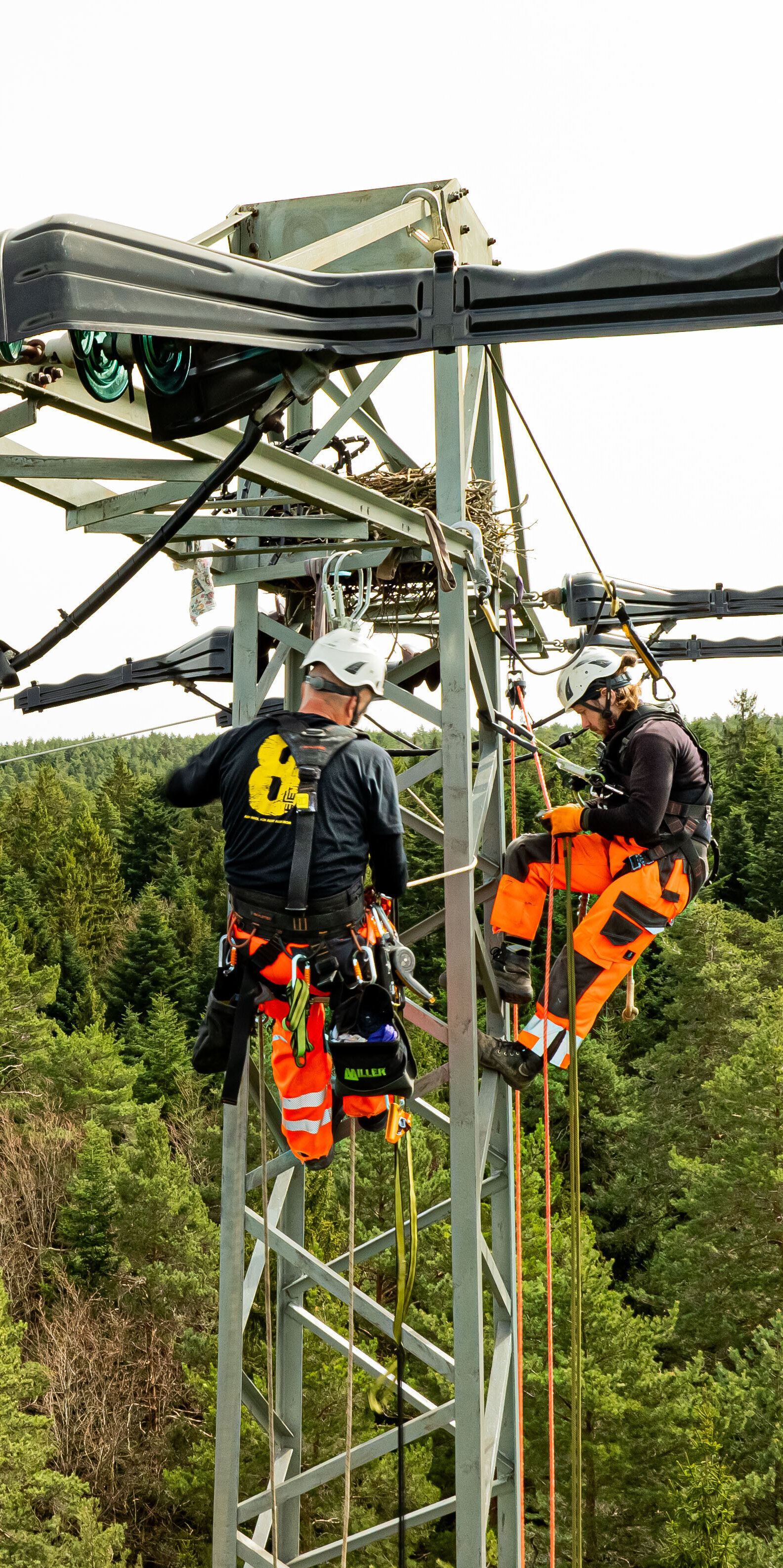 Zwei Monteure mit Schutzhelmen und Kletterausrüstung arbeiten auf einem Hochspannungsmast. Sie sind mit Seilen gesichert und befinden sich direkt an den Isolatoren und Leitungen, im Hintergrund dichter Wald.