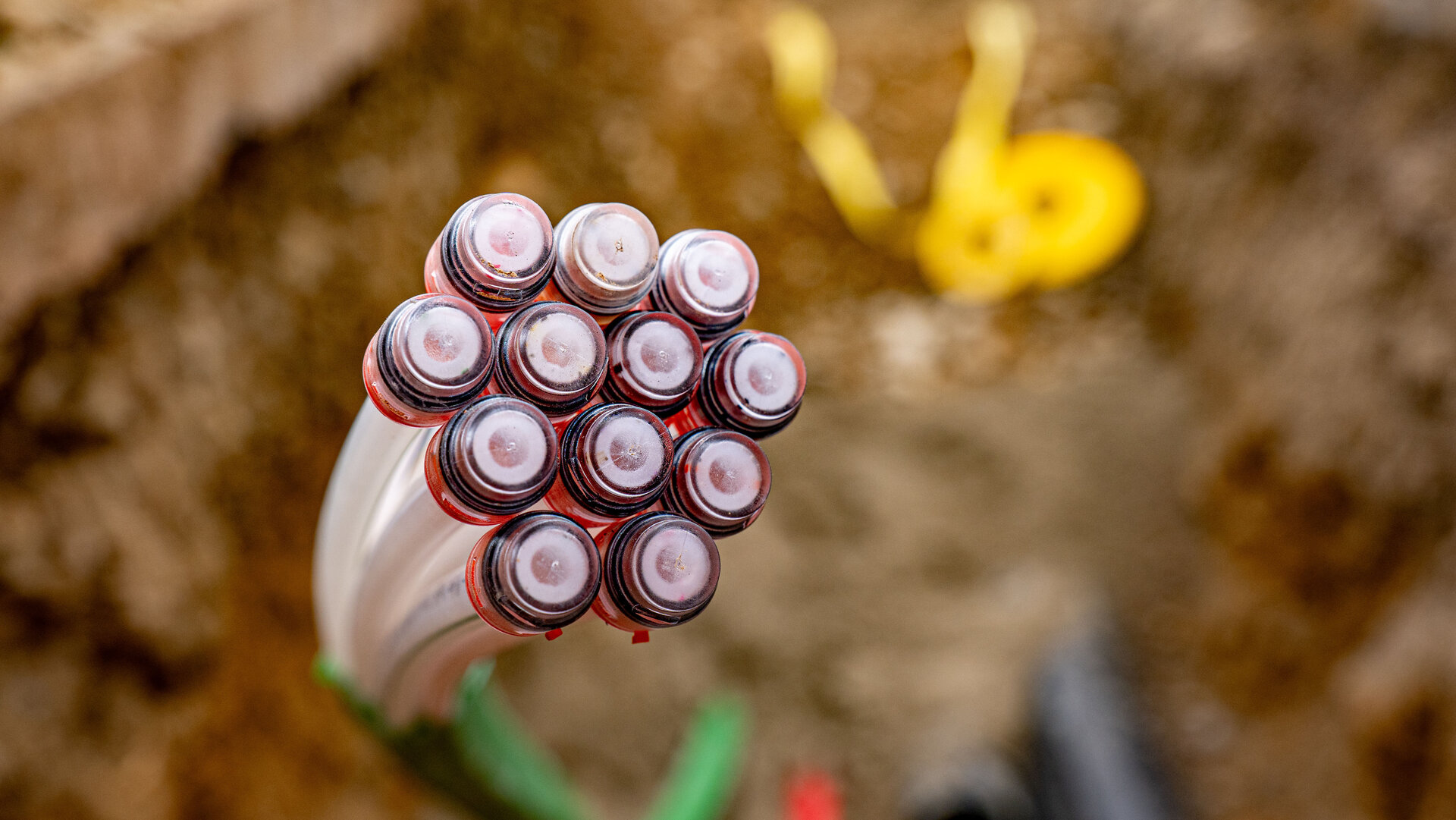 Nahaufnahme von Kabeln mit roten und transparenten Schutzhüllen, die in einer Erdaushubstelle platziert sind, umgeben von Erde.