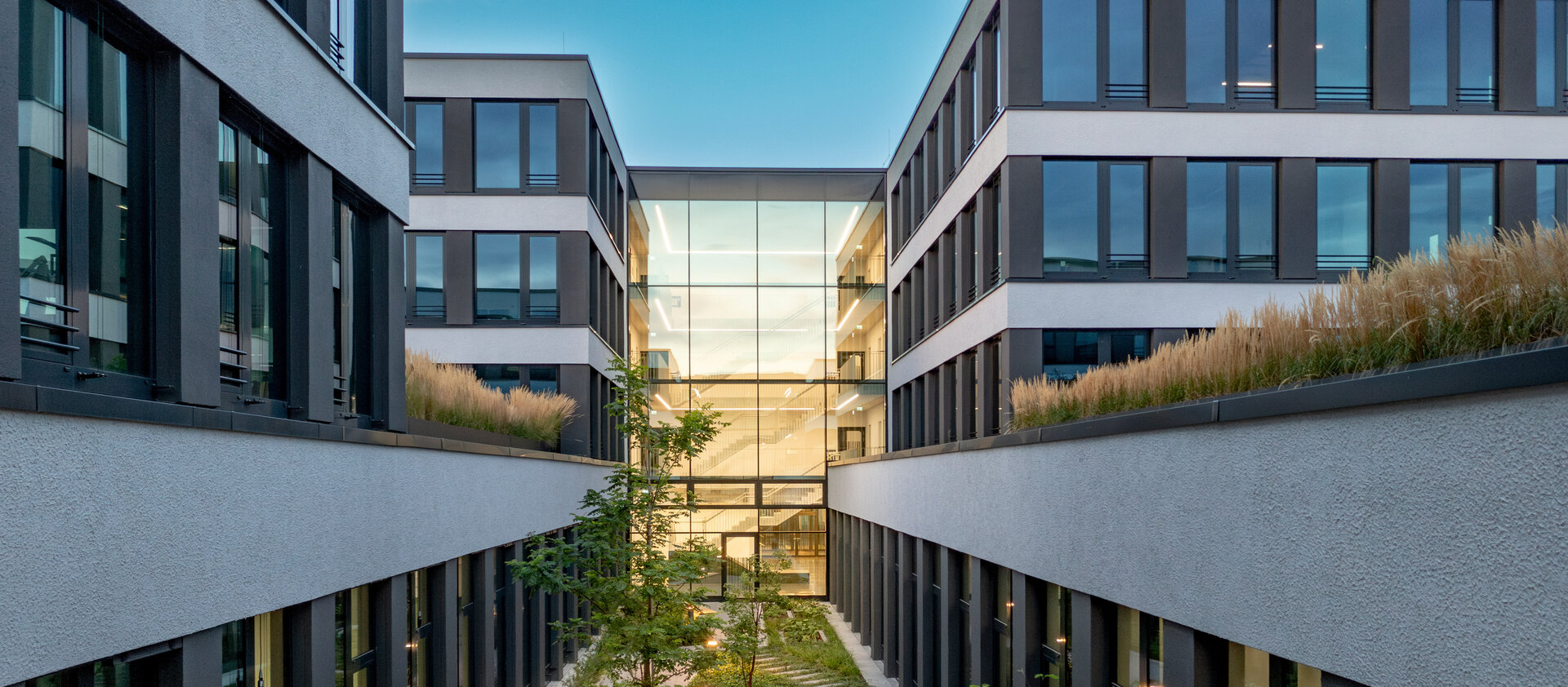 Ein moderner Innenhof zwischen zwei Gebäuden, umgeben von Pflanzen und mit einem klaren Blick auf die Glasfassade im Hintergrund.