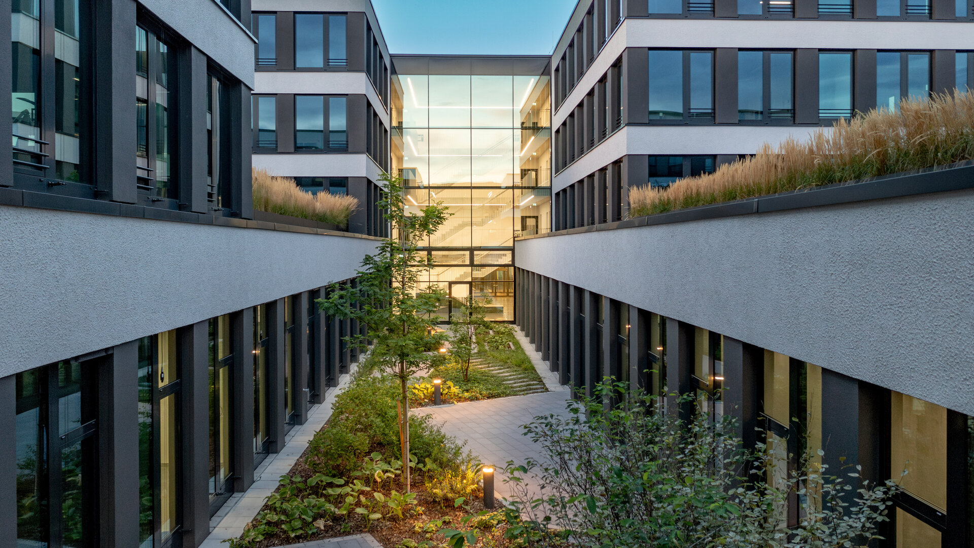 Ein moderner Innenhof zwischen zwei Gebäuden, umgeben von Pflanzen und mit einem klaren Blick auf die Glasfassade im Hintergrund.