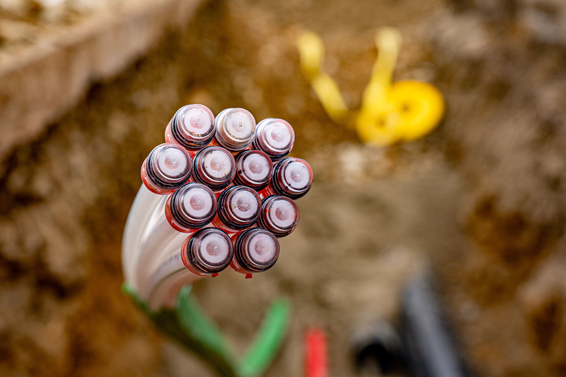 Nahaufnahme von Kabeln mit roten und transparenten Schutzhüllen, die in einer Erdaushubstelle platziert sind, umgeben von Erde.